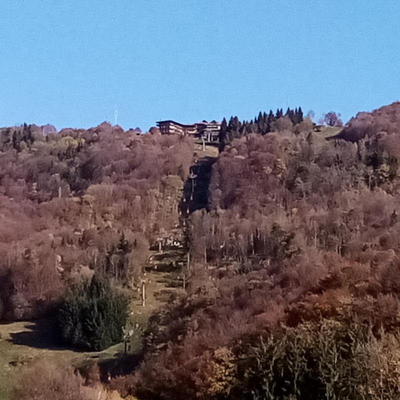 ...... giornata primaverile al m poieto .