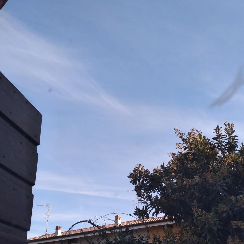 Fotosegnalazione di Marcaria