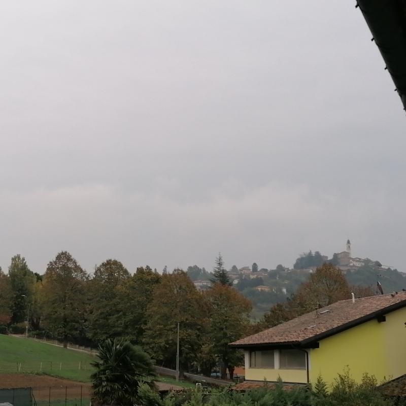 Fotosegnalazione di San marzano oliveto