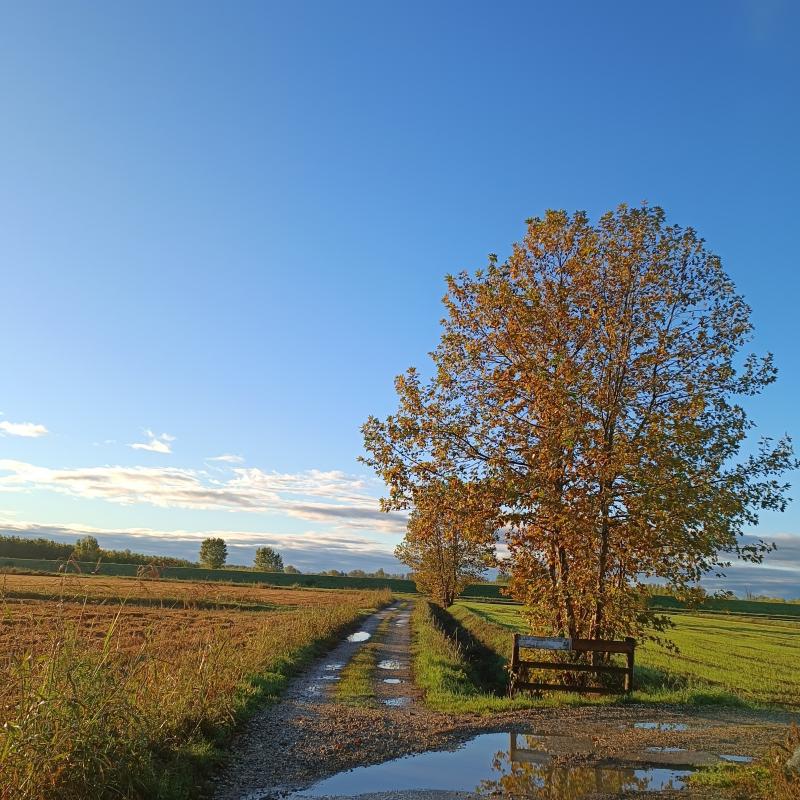Fotosegnalazione di Gambarana