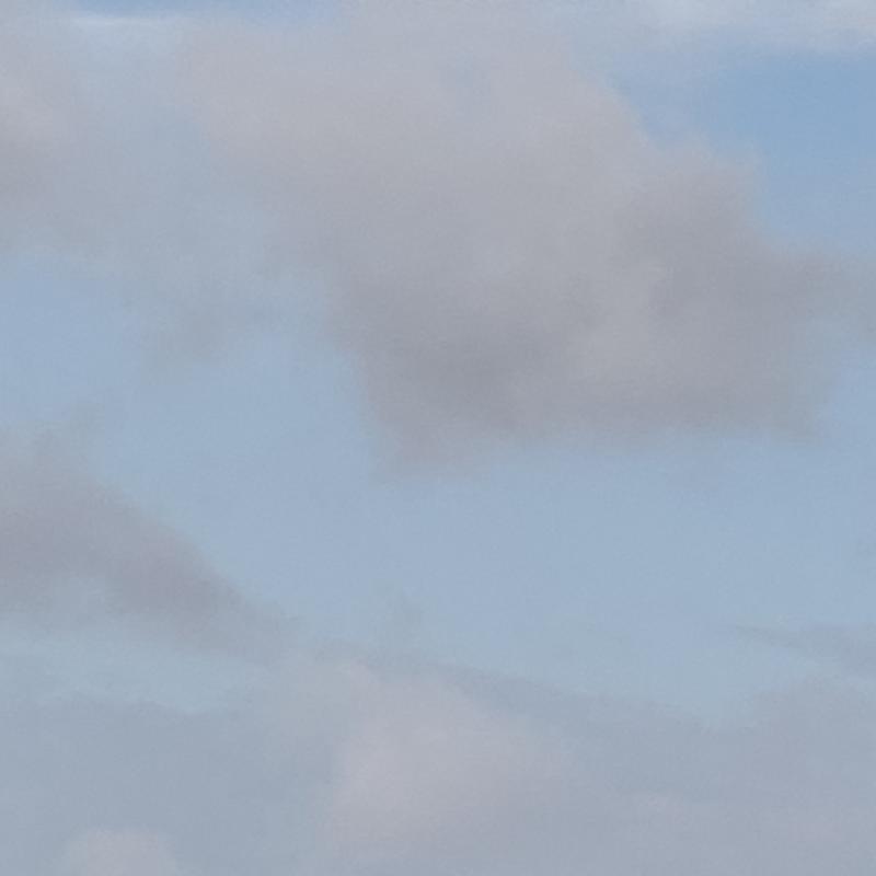 Fotosegnalazione di Gorizia lucinco