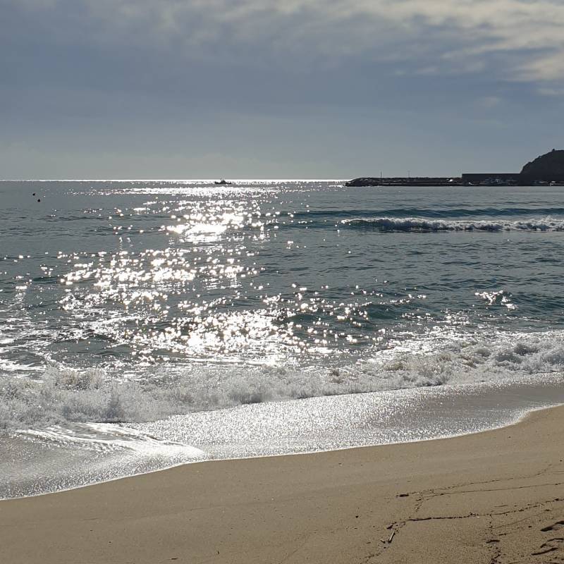 Fotosegnalazione di Marina di campo