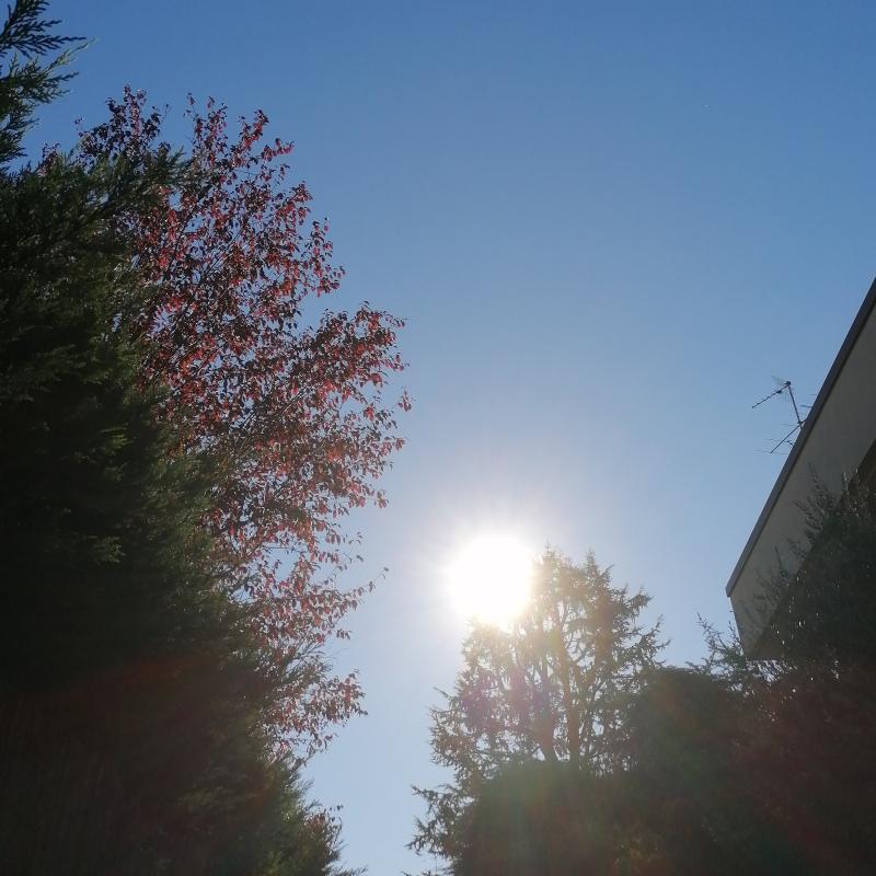 Il sole di novembre