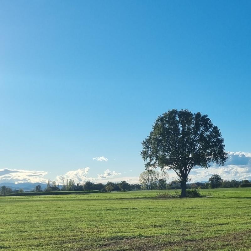 Fotosegnalazione di Montechiarugolo