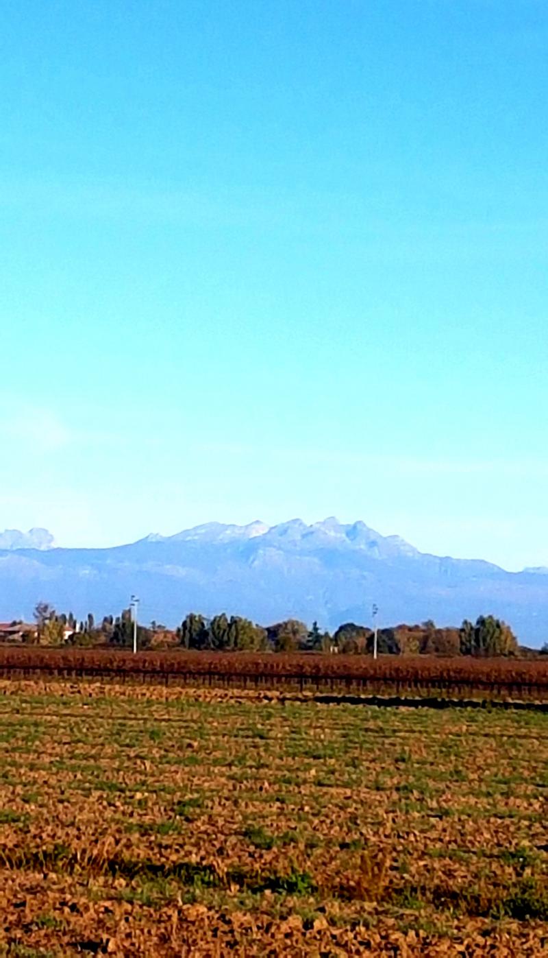 le alpi. domenica fredda ma con il sole