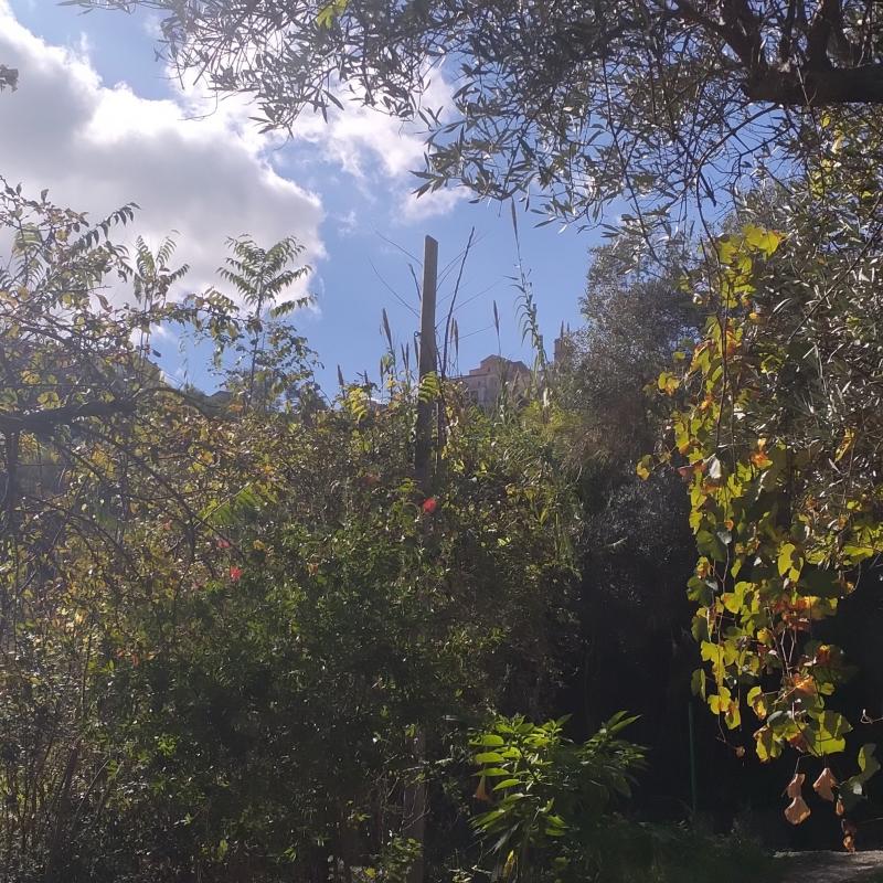 Autunno Rende
