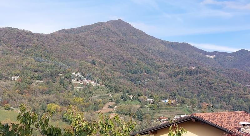 il misma novembrino