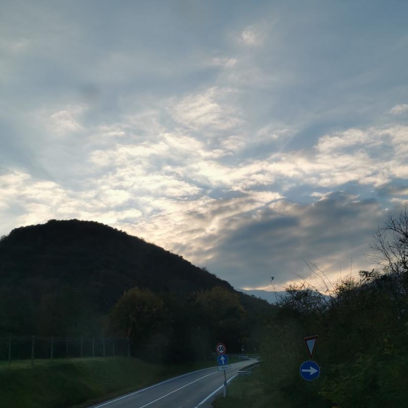 Fotosegnalazione di Bibiana