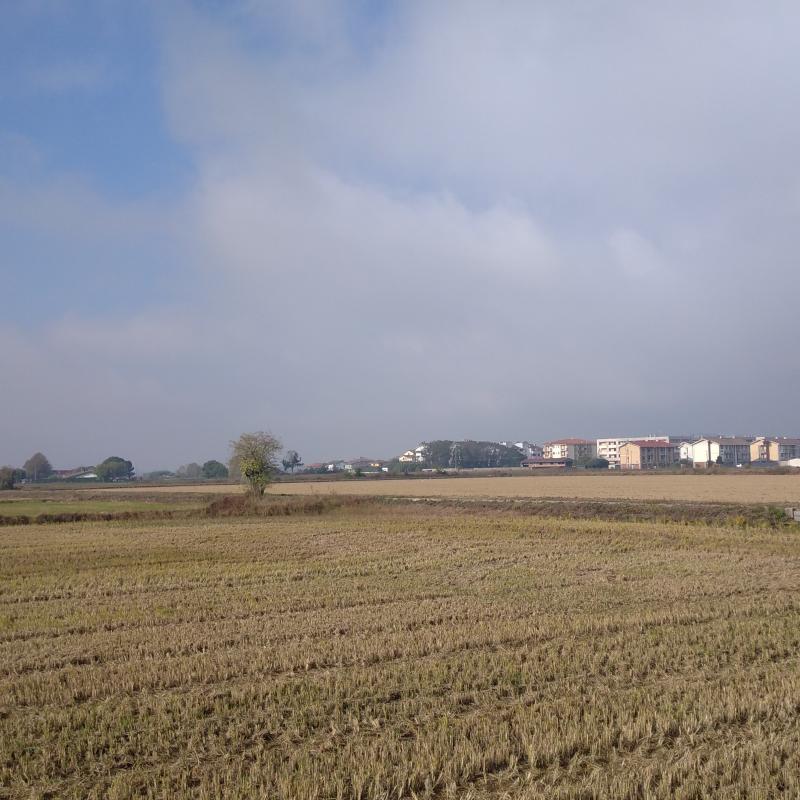 Ritorno al sereno e piacevole caldo
