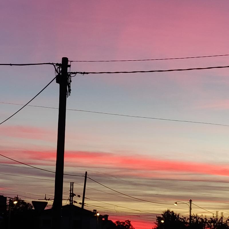 Fotosegnalazione di Gorizia lucinco