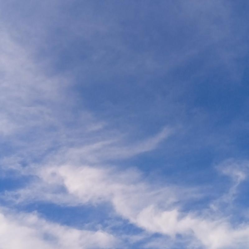 Fotosegnalazione di Nettuno