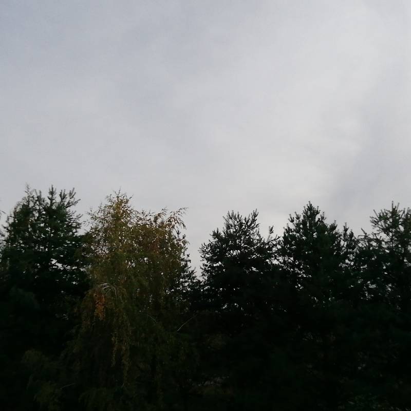 Fotosegnalazione di Fagnano olona