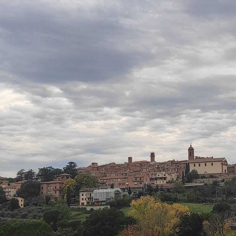 Fotosegnalazione di Torrita di siena