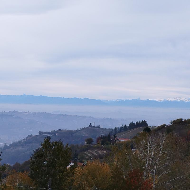 Fotosegnalazione di Cassinasco