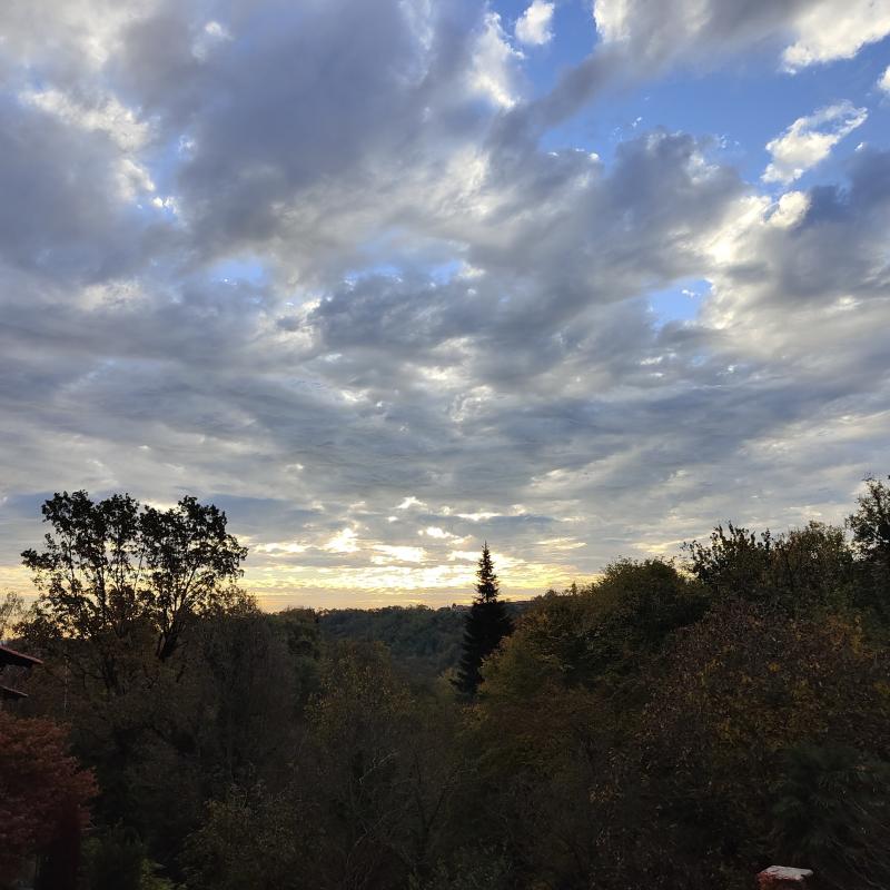 Fotosegnalazione di Barbania