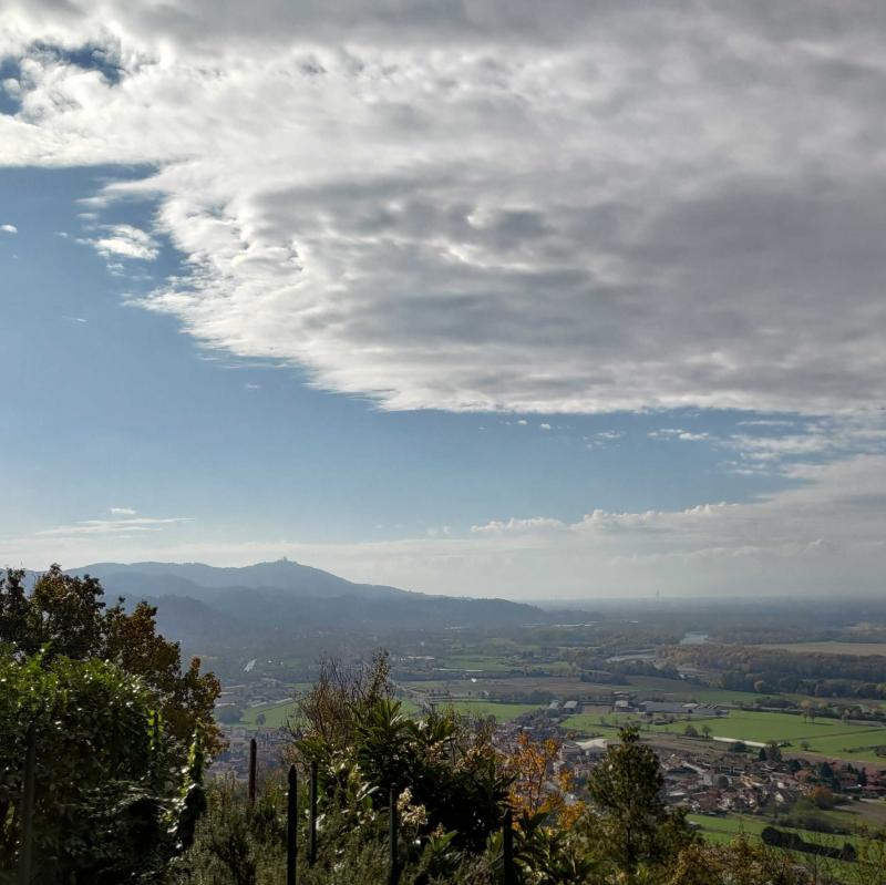 Fotosegnalazione di San raffaele cimena