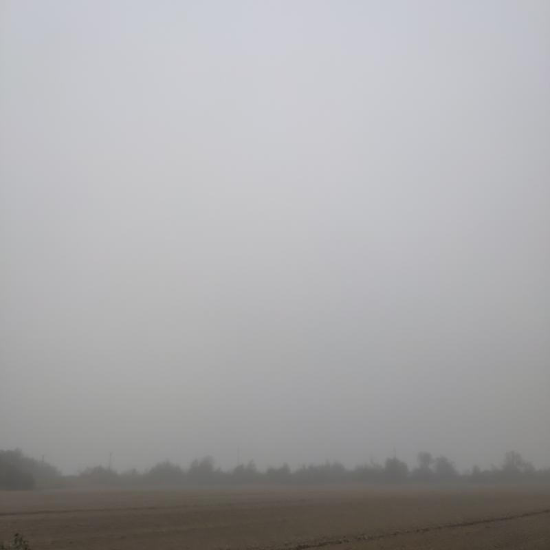 Fotosegnalazione di Ravenna del mare