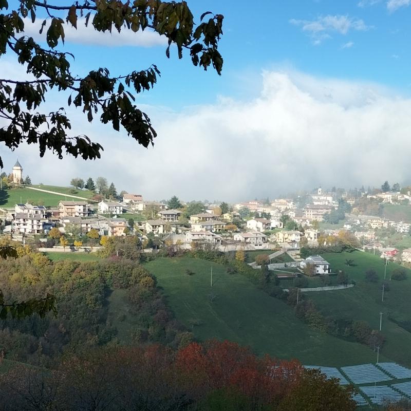 Fotosegnalazione di Cerro veronese
