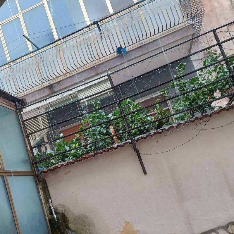 Fotosegnalazione di Napoli pianura