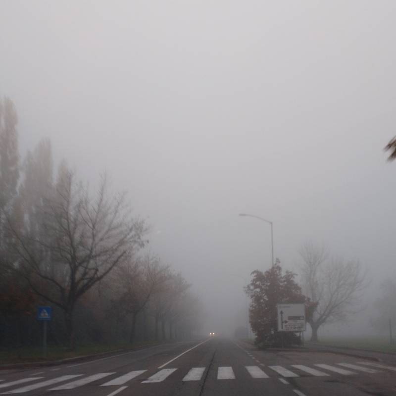 Fotosegnalazione di Modena musicisti - crocetta
