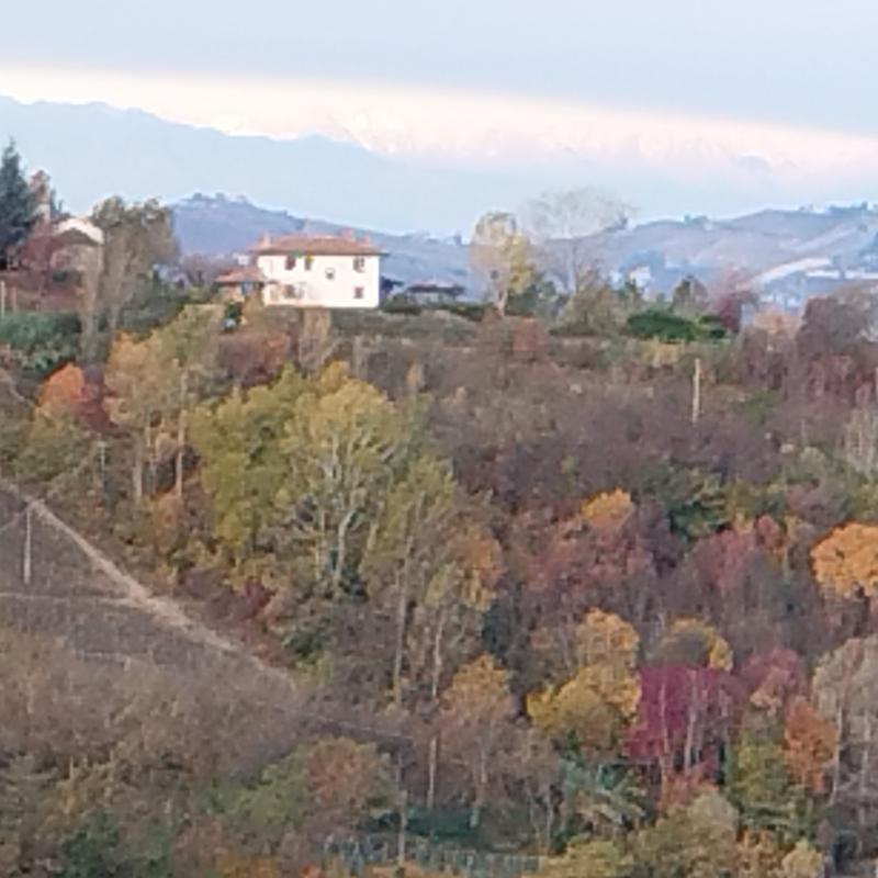Fotosegnalazione di Cassinasco