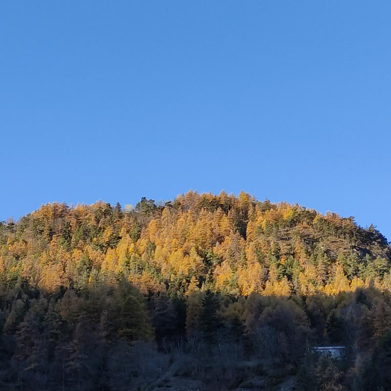 Fotosegnalazione di Oulx