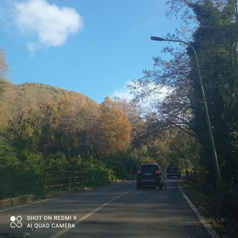 Fotosegnalazione di Laghi di monticchio