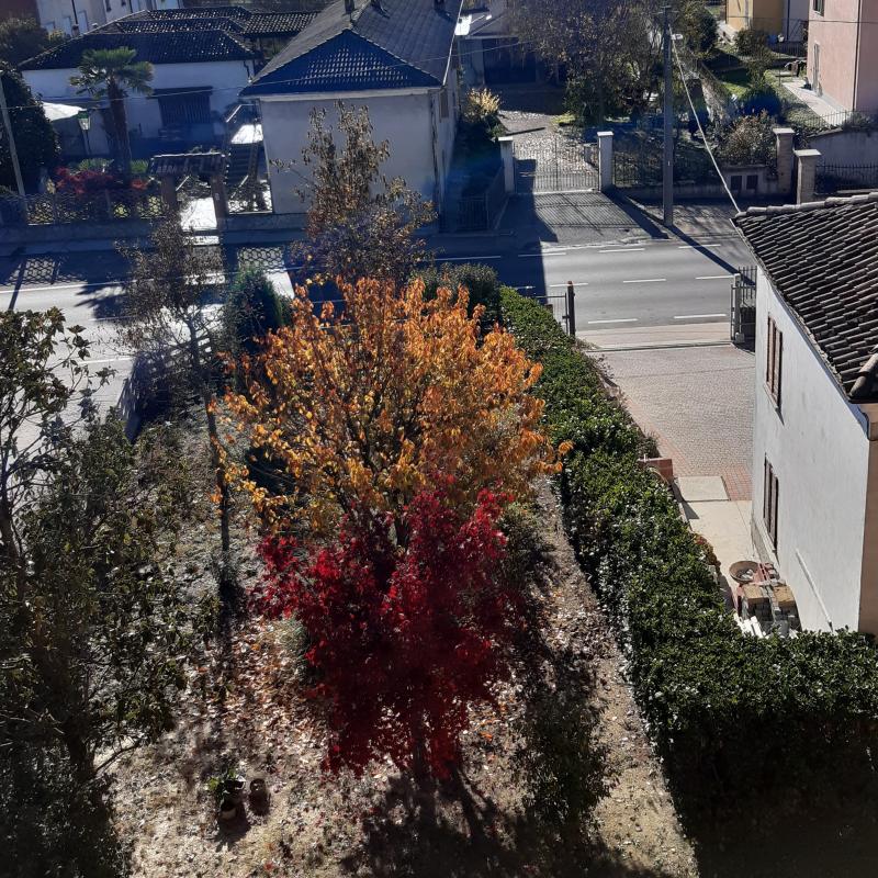 Fotosegnalazione di Costigliole d'asti