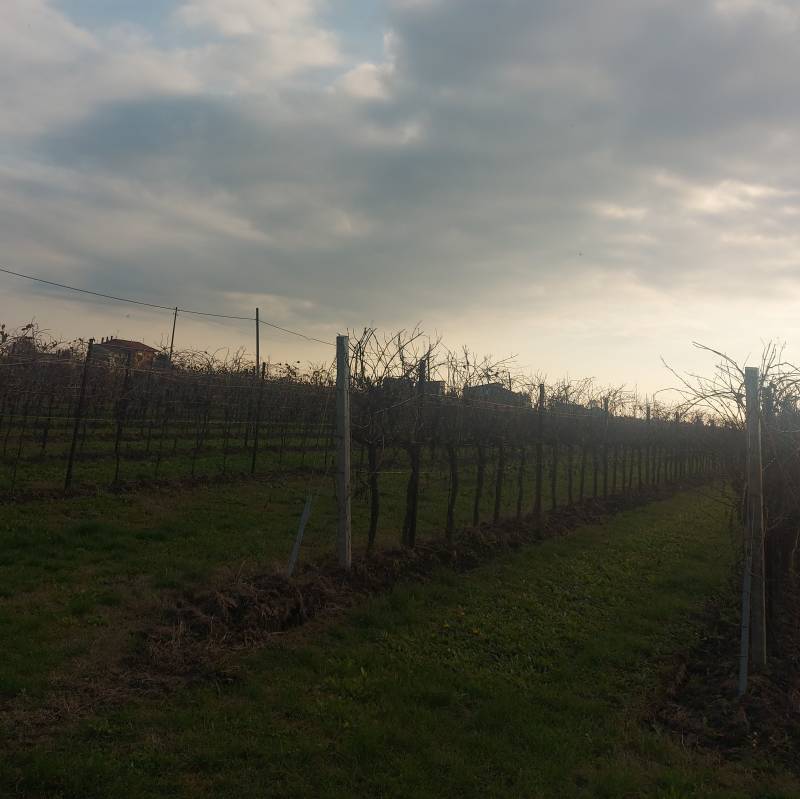 Fotosegnalazione di San dona' di piave