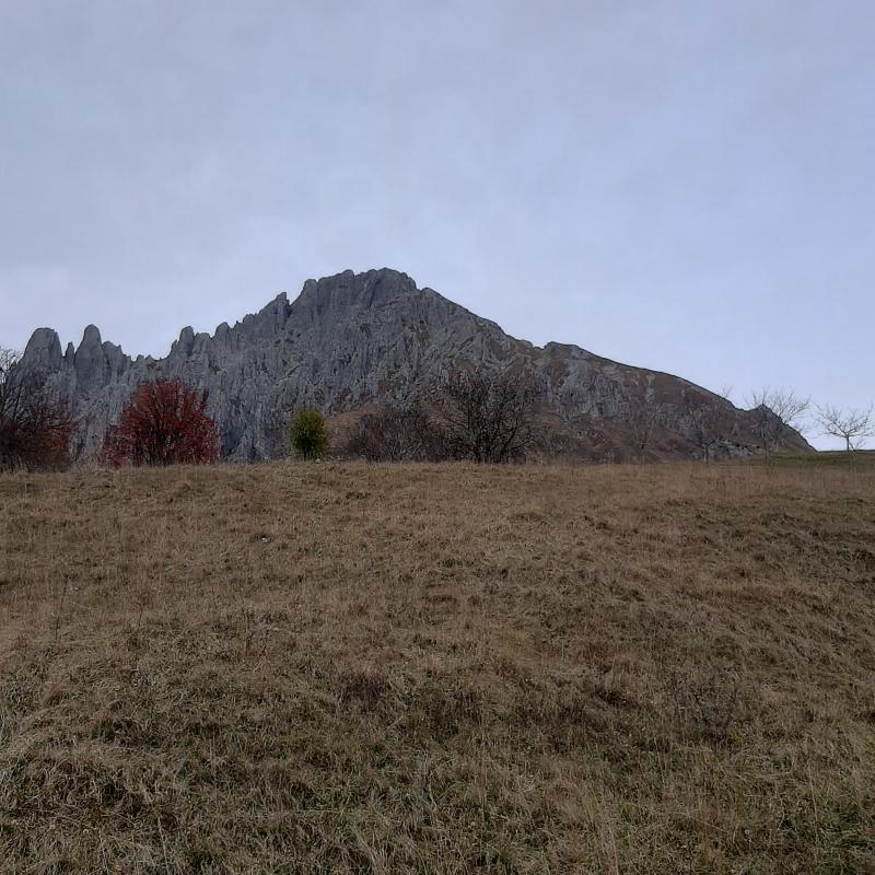 Fotosegnalazione di Piani resinelli