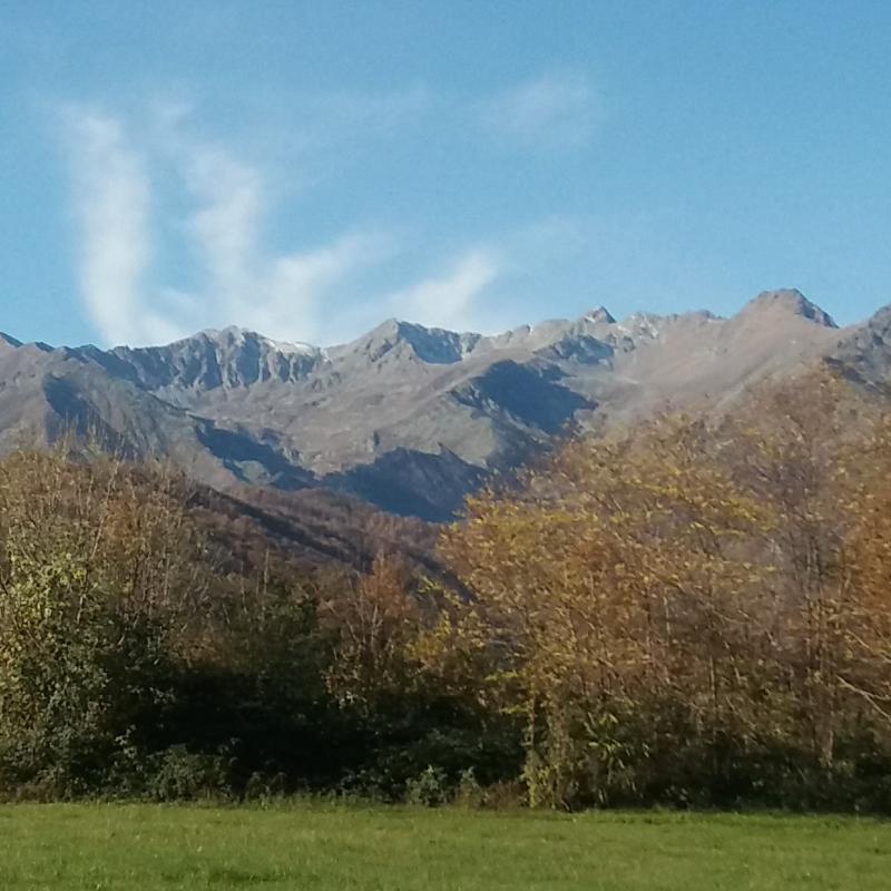 24 novembre