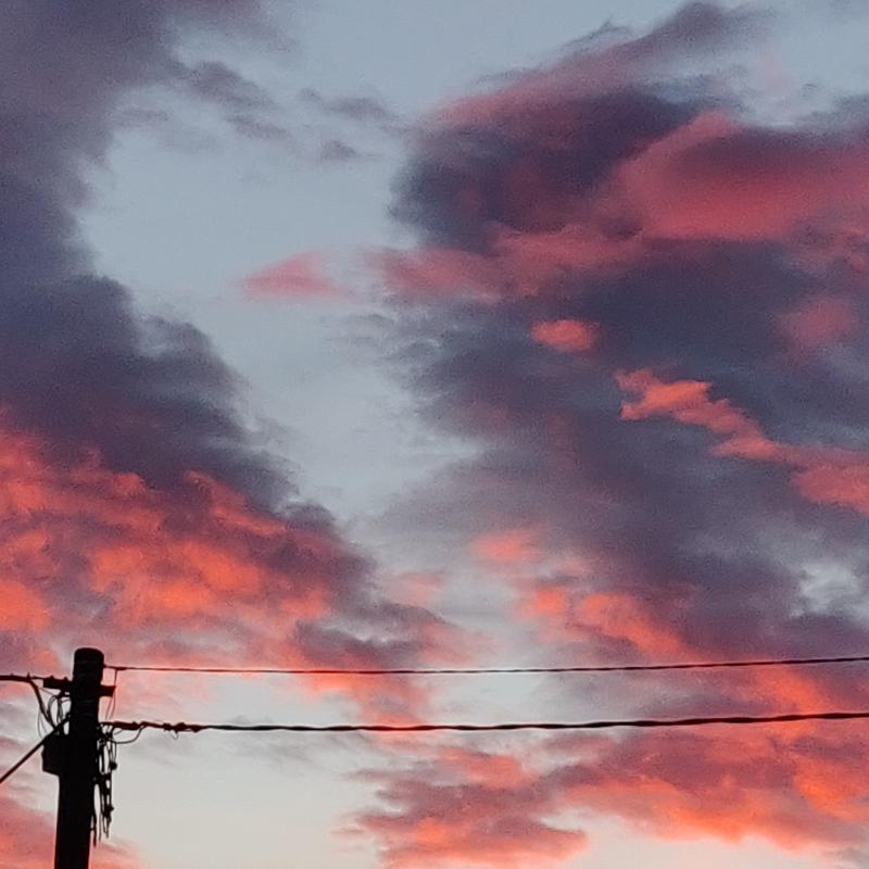Fotosegnalazione di Gorizia lucinco