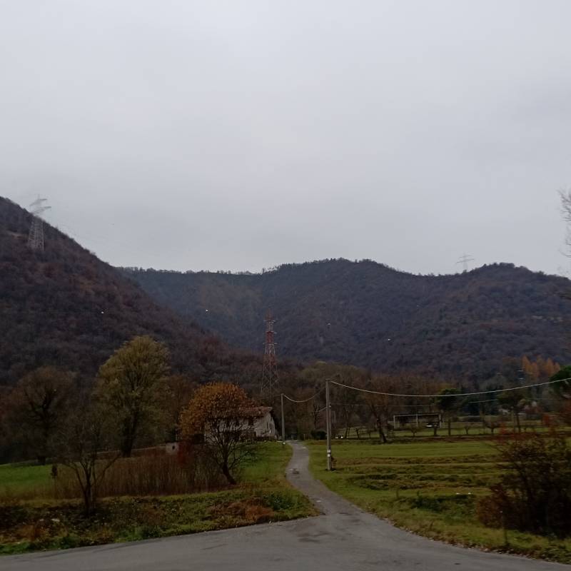 Fotosegnalazione di Odolo