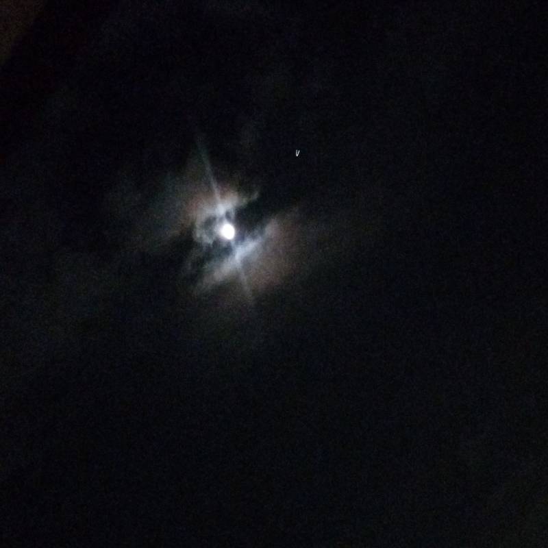 Fotosegnalazione di Brandico