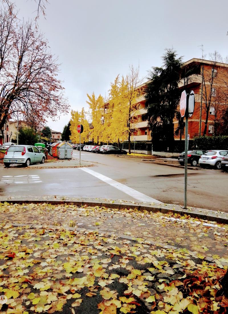 pioggia tutto il giorno