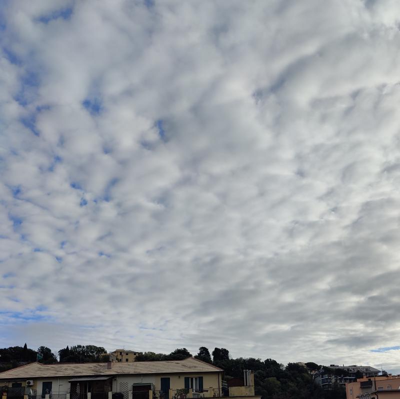 Fotosegnalazione di Genova centro