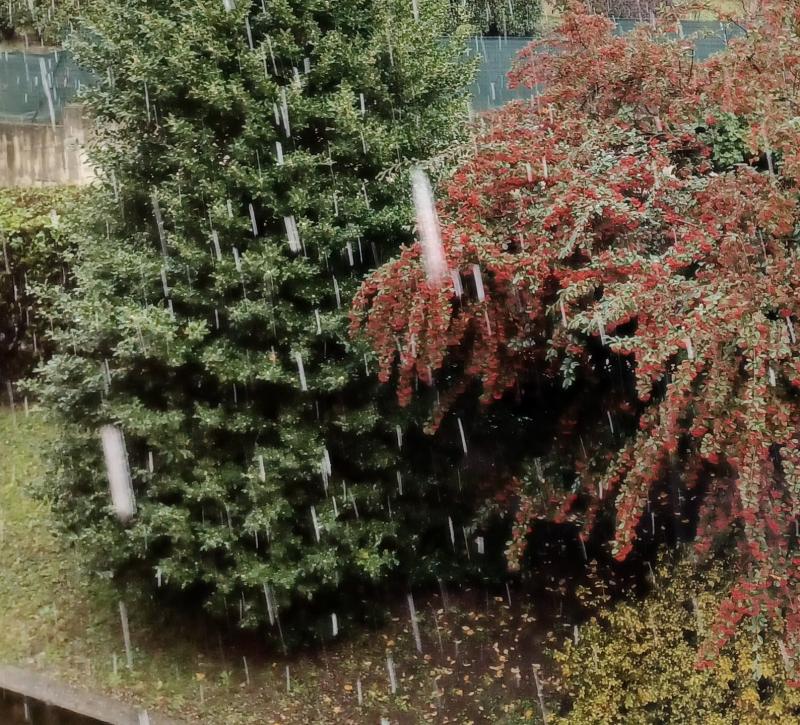 nevica a Guanzate 9 dicembre