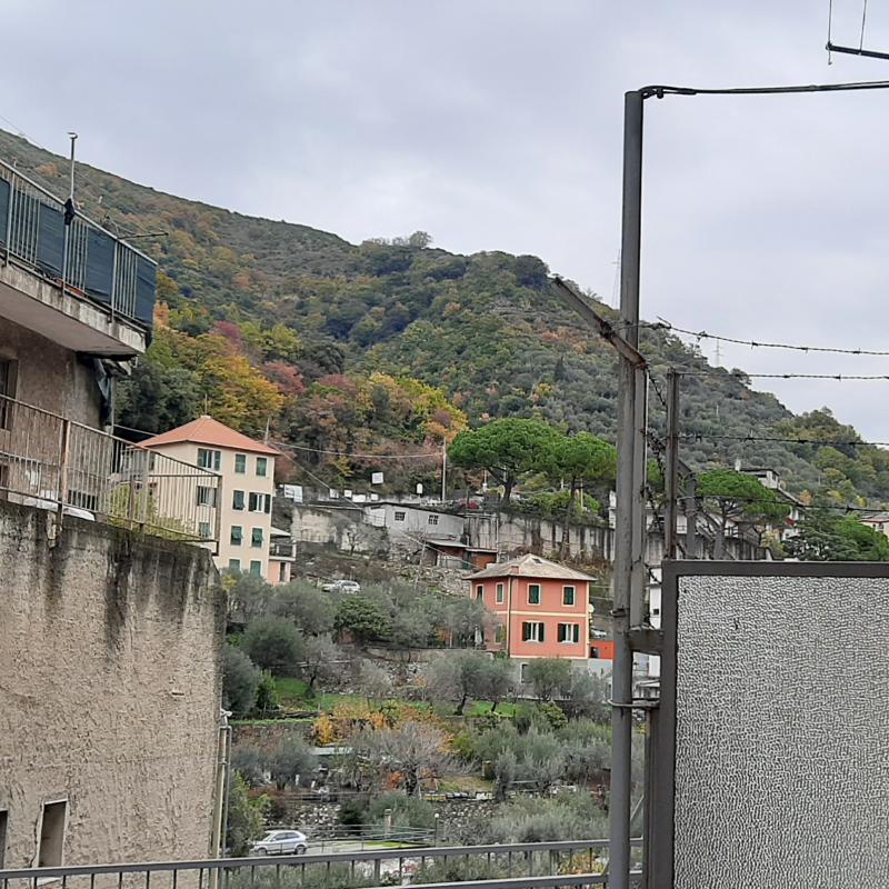 Fotosegnalazione di Genova levante