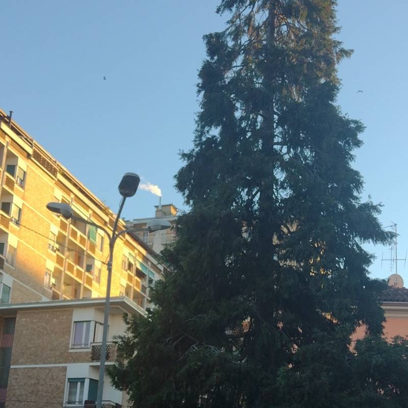 Fotosegnalazione di Alessandria centro