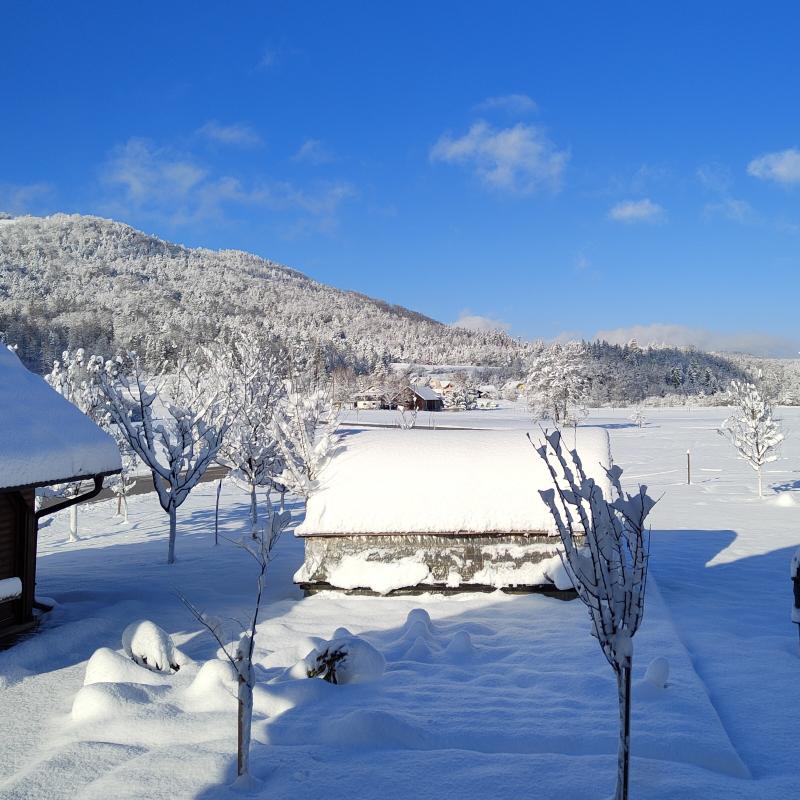 Fotosegnalazione di Velike lae
