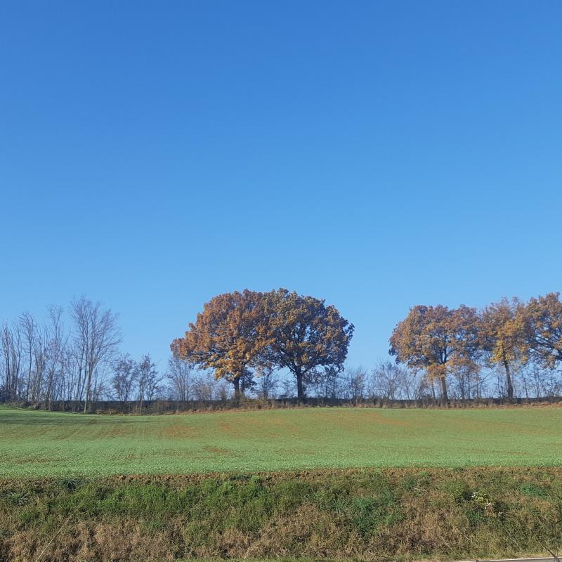 Fotosegnalazione di Alseno