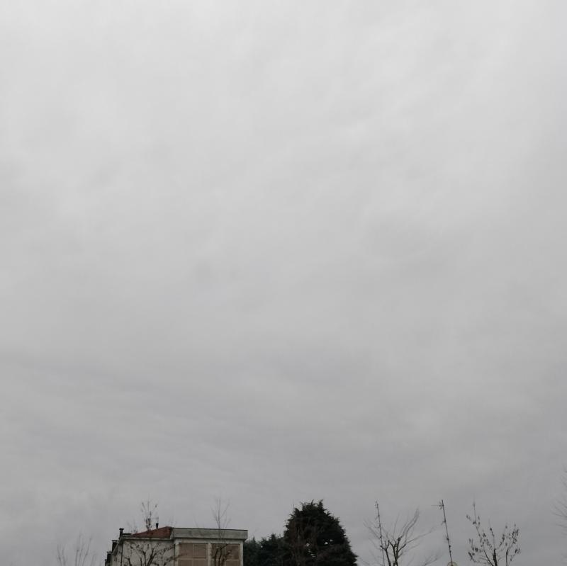 Fotosegnalazione di Lurate caccivio
