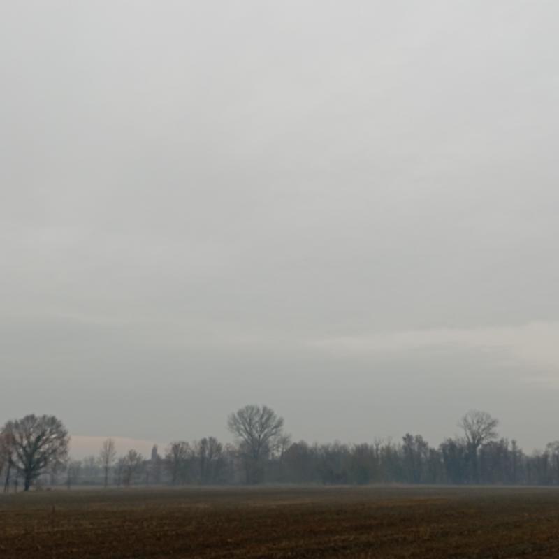 Fotosegnalazione di Cura carpignano