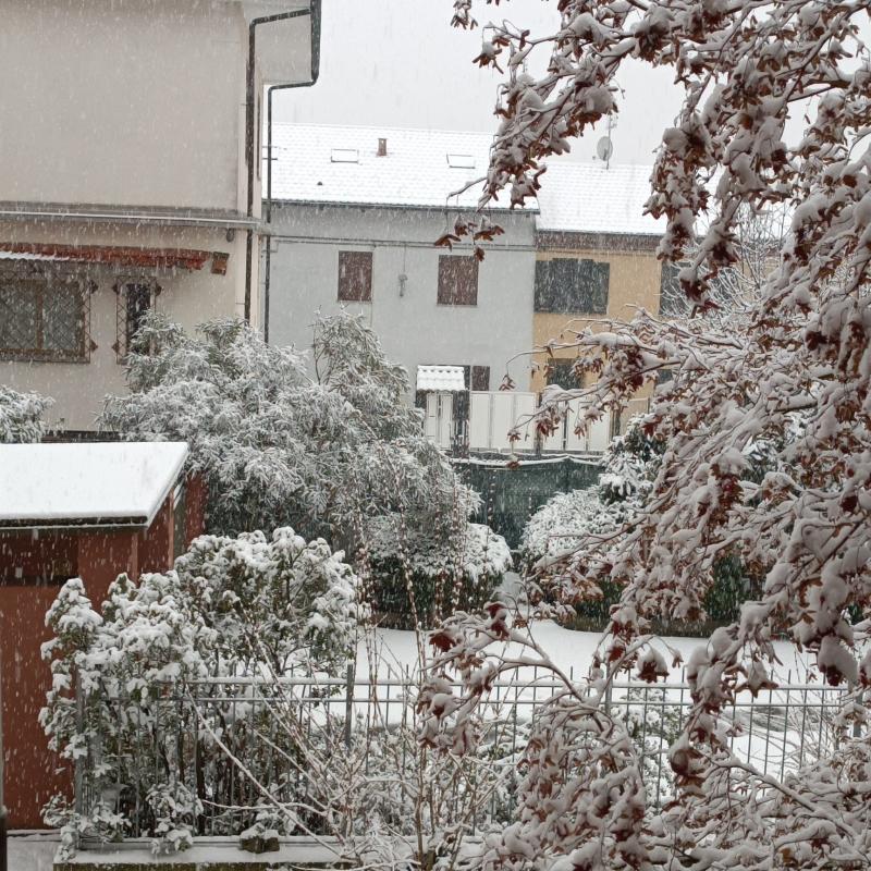 Chieri, la nevicata prima di natale