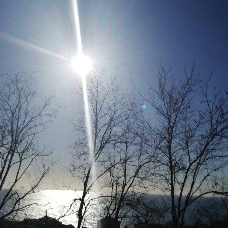 Fotosegnalazione di Diamante