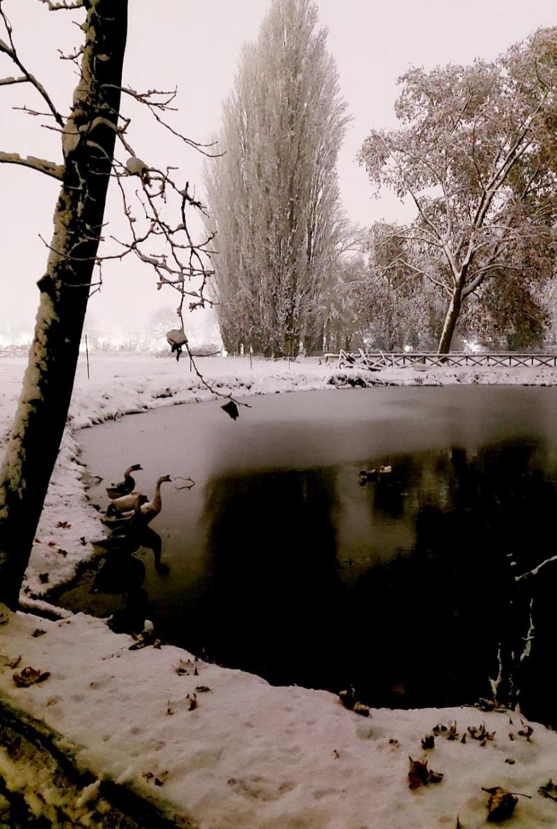 Foto Meteo Inverno A Vinovo 3B Meteo foto-meteo-inverno-a-vinovo-3b-meteo