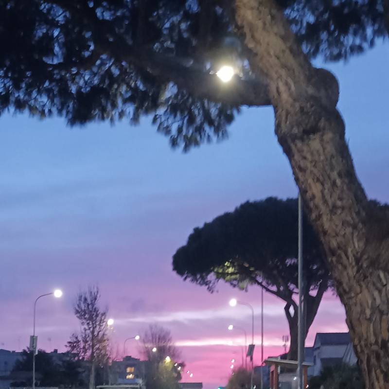 Fotosegnalazione di Campo ascolano