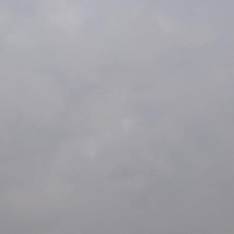 Fotosegnalazione di Cavallino treporti