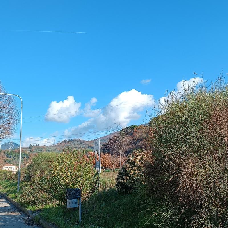 Fotosegnalazione di Foligno