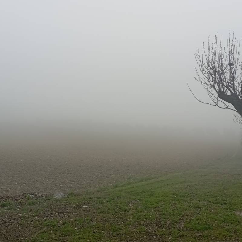 Fotosegnalazione di Poggio san marcello